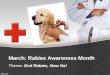Rabies Awareness