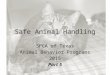 SPCA of Texas Animal Handling 5