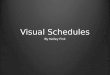 Visual schedules