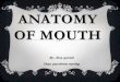 Anatomy of  mouth