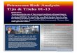 052815 Rufran's Primavera Risk Analysis Tips & Tricks 01-13