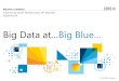 Big Data at Big Blue