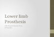 Lower Limbs Prosthesis