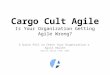 Cargo Cult Agile: Is Your Organization Getting Agile Wrong? — A Quick Poll to Check Your Organization‘s  Agile Health