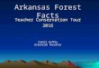 Forest Facts and History