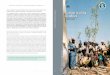Carbon Trading in Africa, A Critical Review
