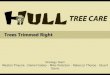 Hull Tree Final Presentation