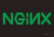 What is Nginx and Why You Should to Use it with Wordpress Hosting