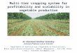 Multitier cropping system for profitability and scalability in vegetable production
