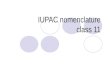 Iupac nomenclature class 11 CBSE-organic chemistry some basic principles and techniques