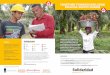 Solidaridad Palm Oil Programme Factsheets