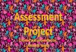 Assessment Project FINAL