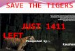 Save tiger.pdf
