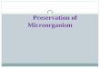 preservation of microorganism