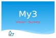 My3 vision survey 2015