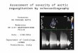 Echocardiography assessment of Aortic Regurgitation severity