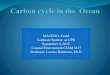 Carbon cycle in the ocean discussion