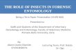 Forensic entomology presentation