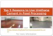 Top 5 Reasons to Use Urethane Cement in Food Processing
