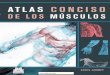 Atlas conciso-de-los-musculos redacted(1)