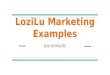 Social Media & Marketing Highlights - Joe Ariniello - LoziLu