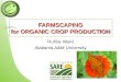 Organic Farm Scaping