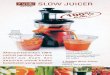 Microsoft PowerPoint - slowjuicer18.ppt
