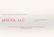 JASCEA, LLC - Creating Synergies for Success; Business Strategy with Implementation Support