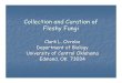 Collection and Curation of Fleshy Fungi - uco.edu