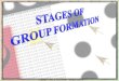 Stages of group formation