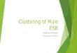 Clustering of Mule ESB