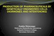 PRODUCTION OF PHARMACEUTICALS BY GENETICALLY ENGINEERED CELLS (HORMONES AND INTERFERONS)