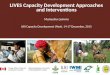 LIVES Capacity Development approaches and interventions
