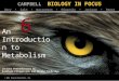 Biology in Focus - Chapter 6