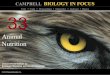 Biology in Focus - Chapter 33