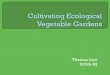 Cutivating ecological vegetable gardens