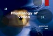 Physiology of vision