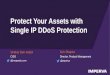 Protect Your Assets with Single IP DDoS Protection