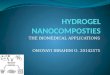 Hydrogel Nanocomposties: THE BIOMEDICAL APPLICATION