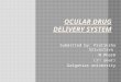 occular drug delivery system