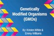 Genetically Modfied Organisms
