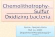 Chemolithotrophy                    sulfur oxidation metabolism