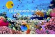 10 reasons to scuba dive in vava’u