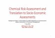 Chemical Risk Assessment and Translation to Socio-Economic Assessments
