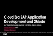 Cloud era SAP Application Development and 3 mode