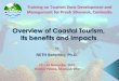 Overview of Cambodia's Coastal Tourism, Its Benefits and Impacts