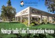 Strategic Audit Assignment on Cubic Transportation Systems