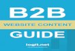 B2B Website Content Guide Sample