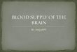 Blood supply of Human Brain