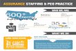 2016 Infographic - Staffing and PEO Practice